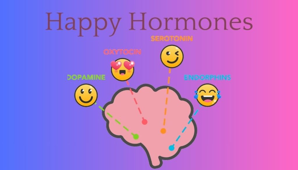 Happy Hormones