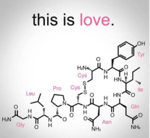 oxytocin