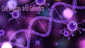 cell biology and genetics