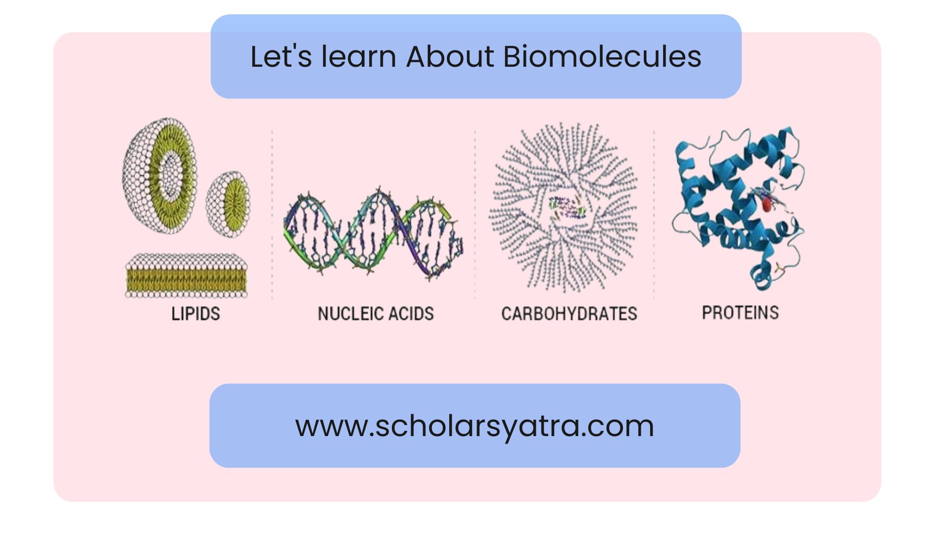 Biomolecules