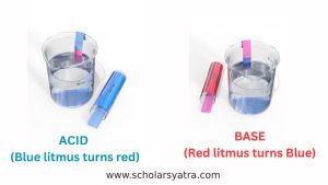 litmus paper