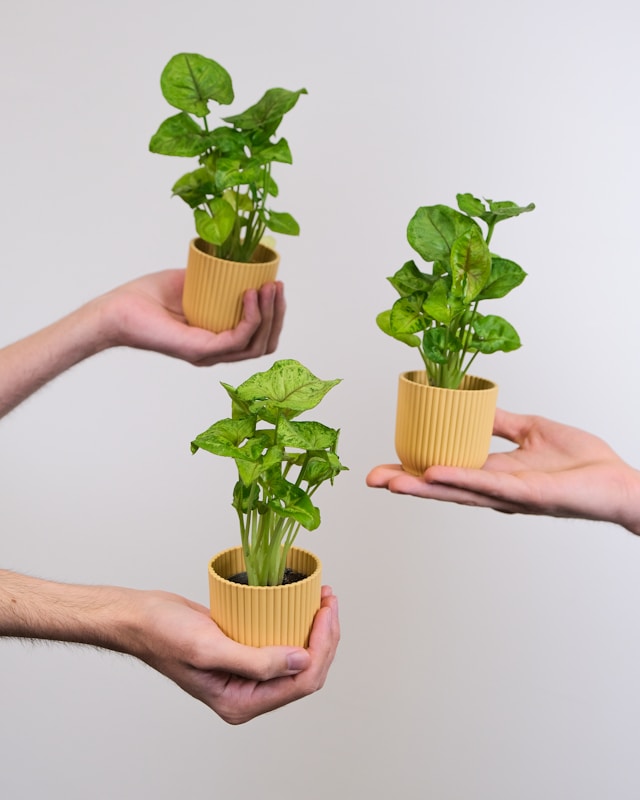 Ecopreneurship